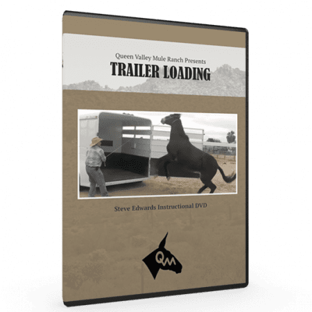 Steve Edwards Load Mules Into Trailers