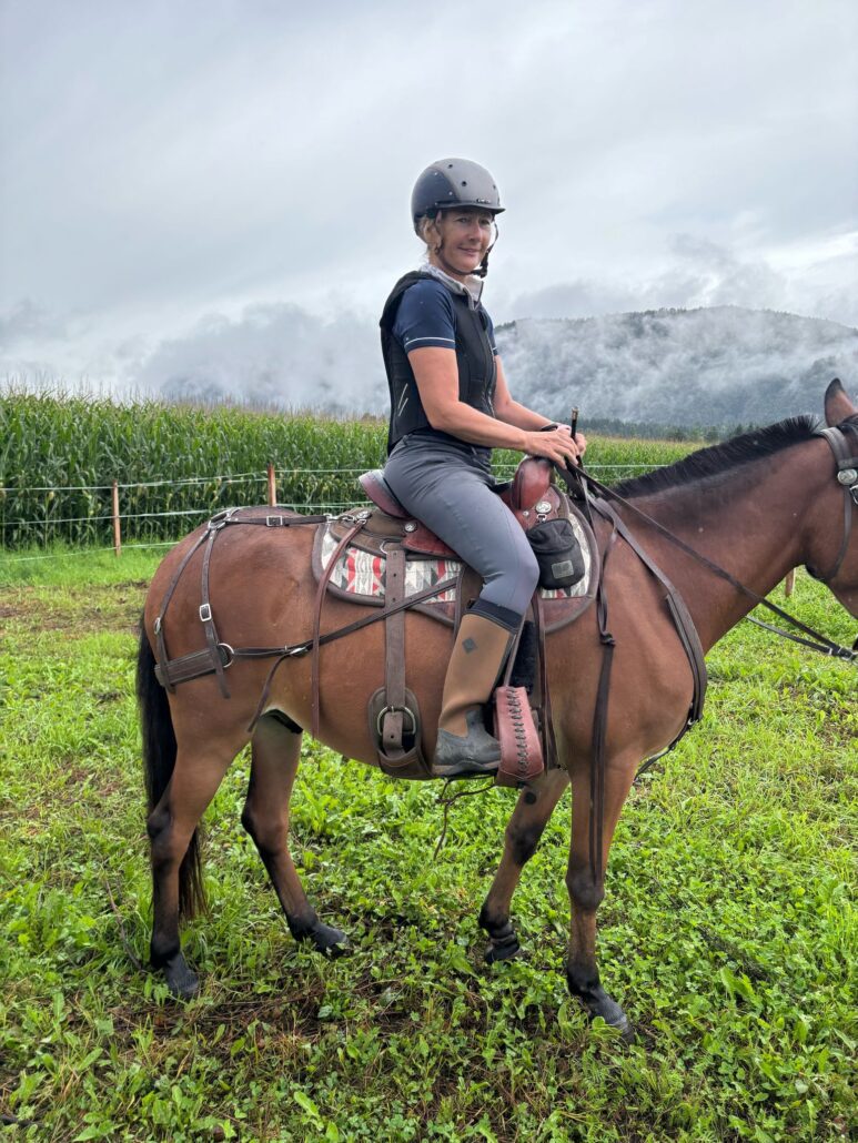 Affordable Mule Saddle, The Trail Lite Saddle by Steve Edwards