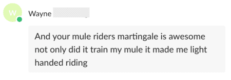 Your mule rider's martingale is awesome. Not only did it train my mule it made me light handed riding