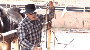 Steve Edwards demonstrating the Mule Rider's Martingale Bridle and Bit