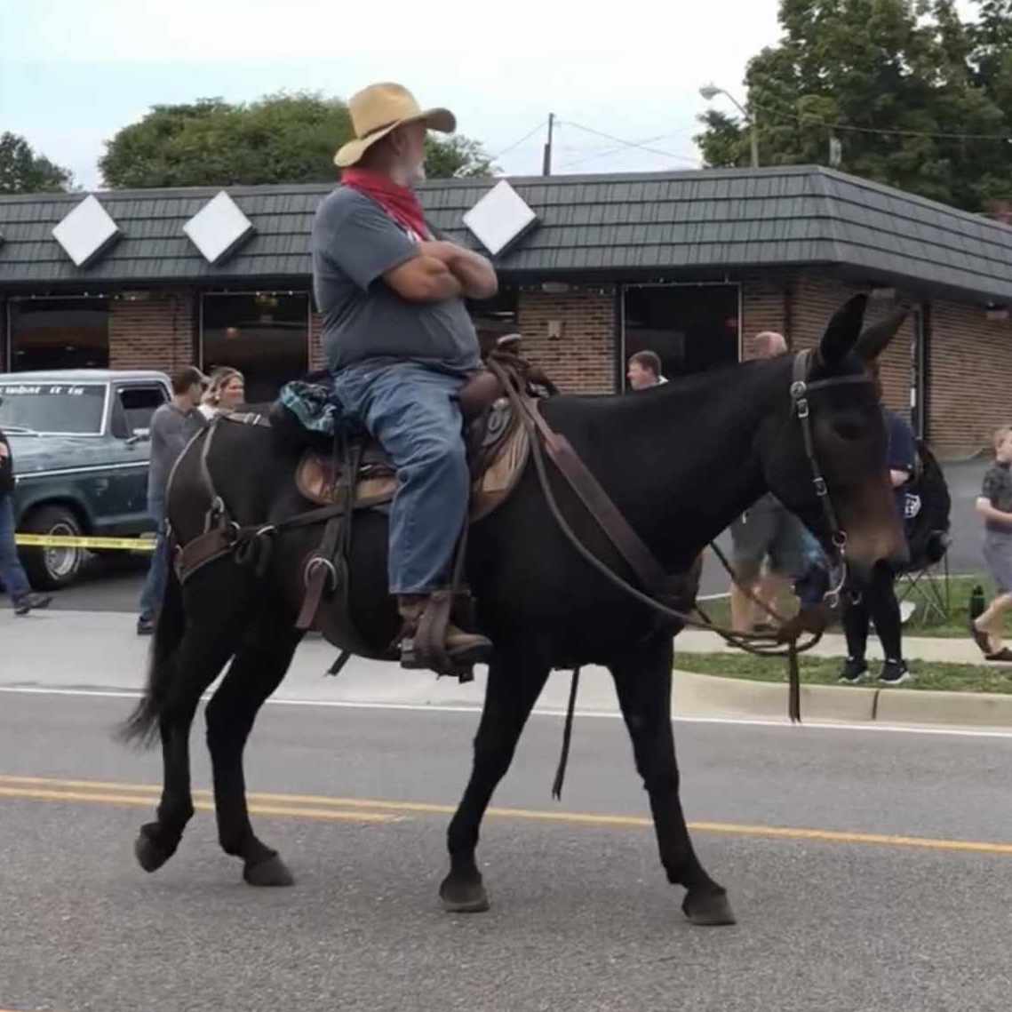 The Cowboy Saddle - Image 16