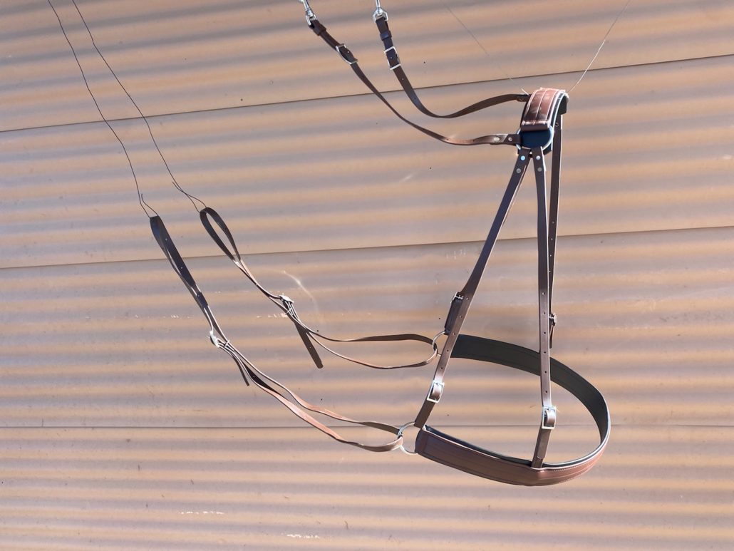 Beta Britchen for Training Mules to Ride Steve Edwards Mule Training