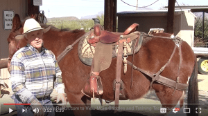 Featured Image for Trail Lite Mule Saddle Video Demo