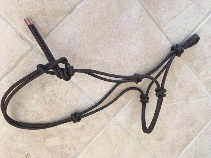 Mule and Donkey Rope Halter for Maximum Communication | Mule Ranch