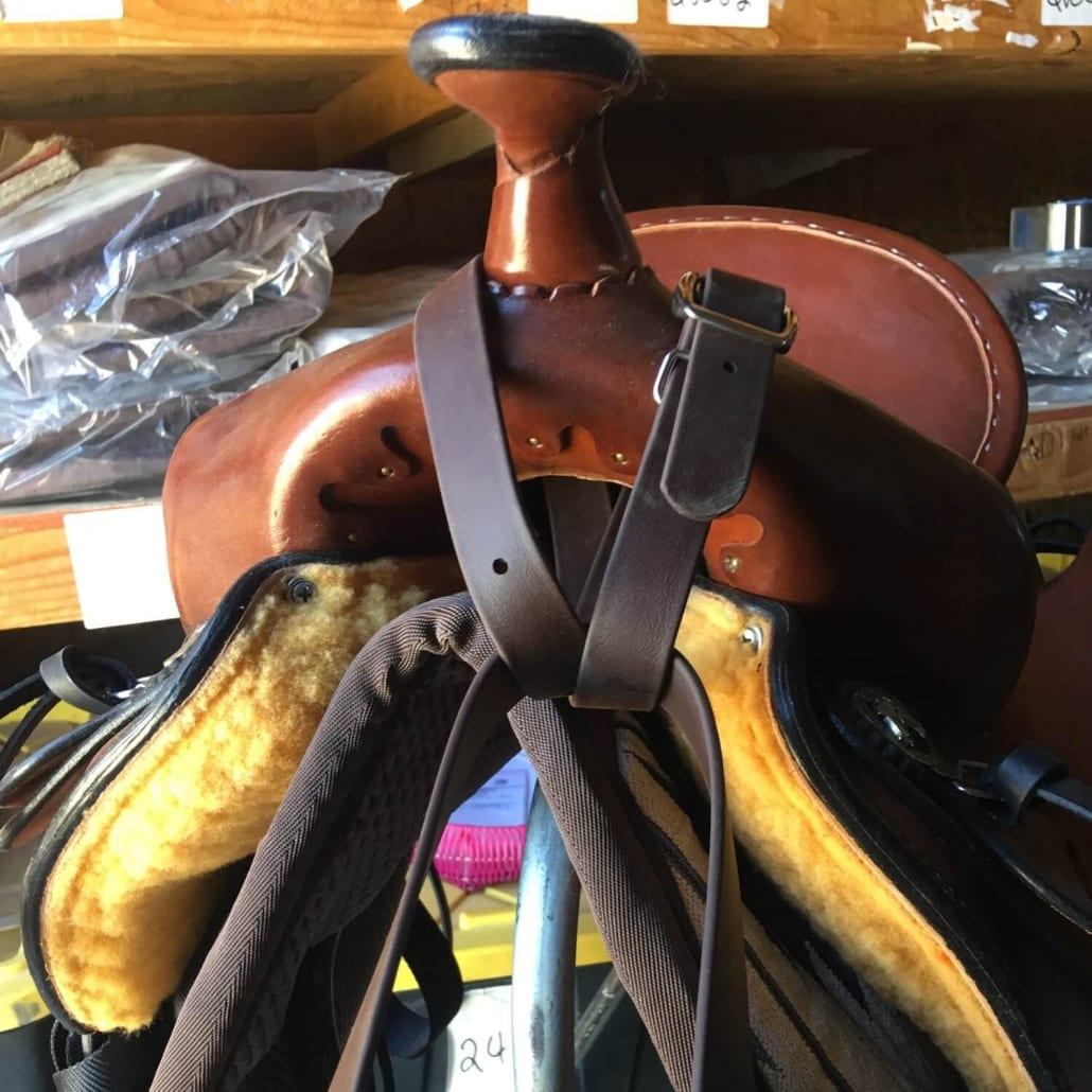 Breast Collar for Mules and Donkeys Proper Placement