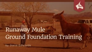 Watching for signs of a runaway mule