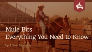 mule bits everything you need to know