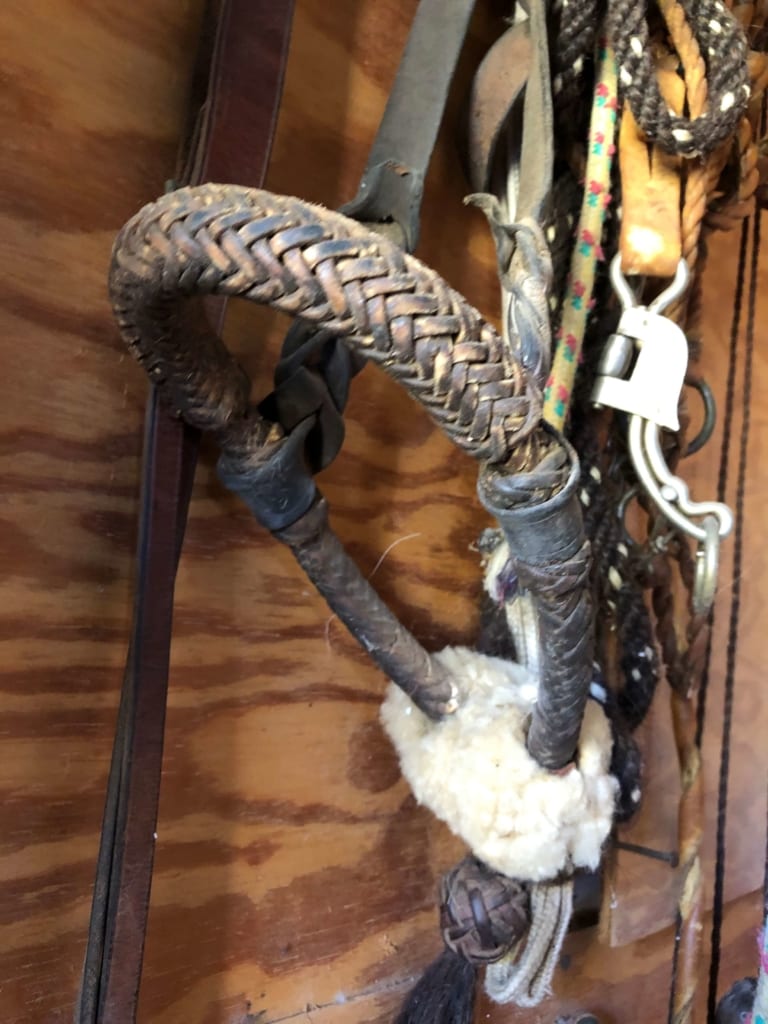 Mule Bits to Use in Your Bit Program Queen Valley Mule Ranch