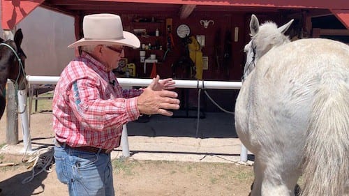 Steve Edwards demonstrating mule sape