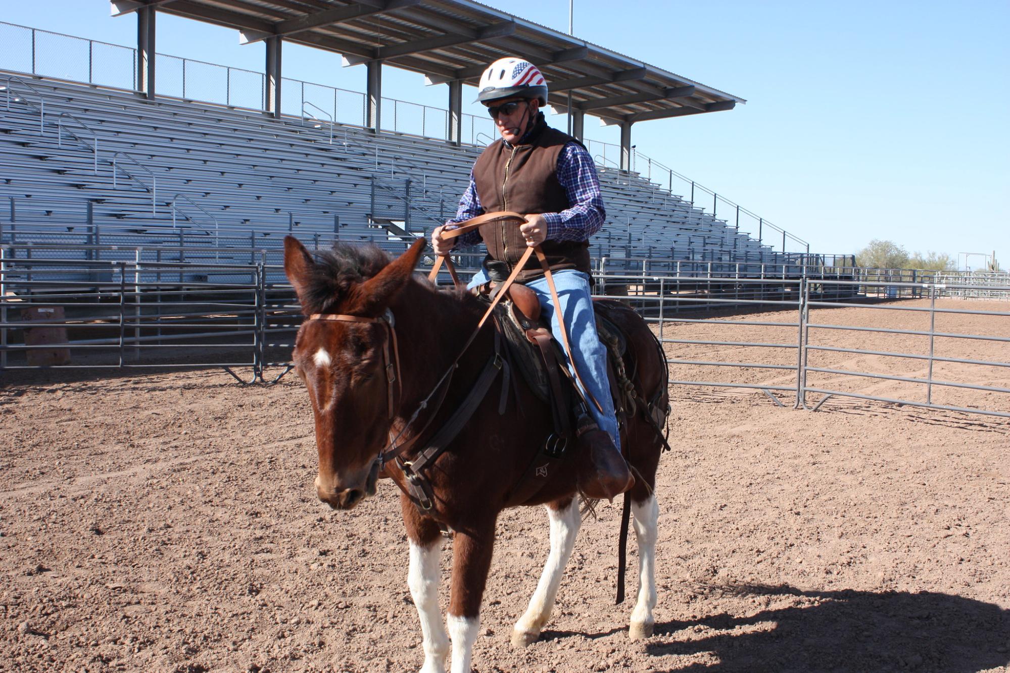 Steve Edwards mounting a mule