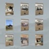 Mule and Donkey Gallery Mockup — DVD Covers