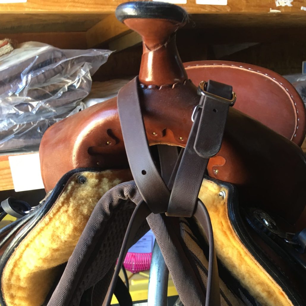 Mule Breast Collar Designed to Fit the Slope of the Mule or Donkey