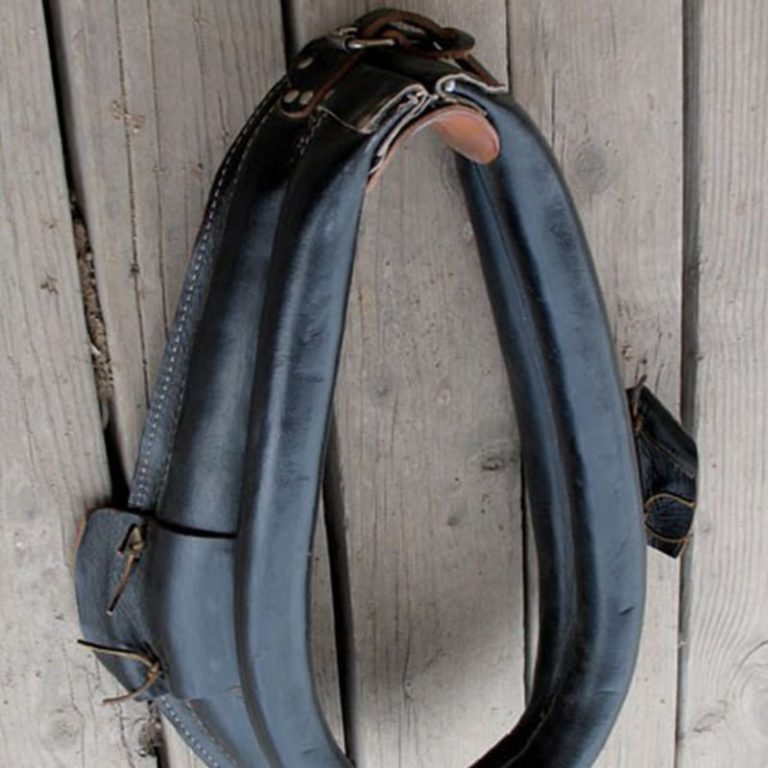 Team Harness for Mules - Queen Valley Mule Ranch
