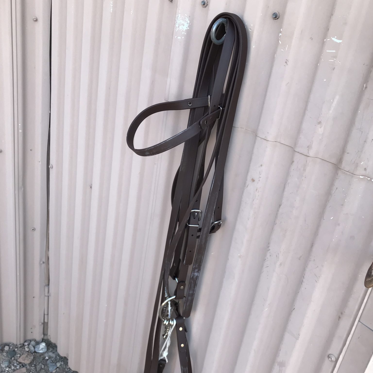 The Mule Rider's Martingale for Balancing Mules & Introducing Bits