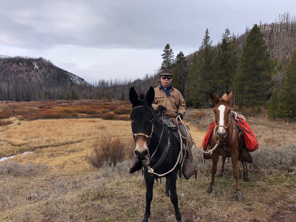 Packing Elk with Steve Edwards saddle