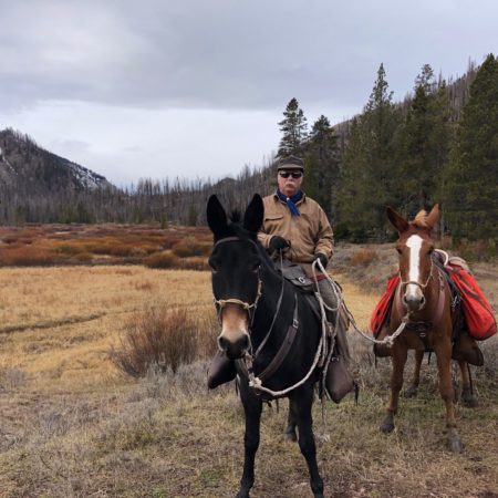 Packing Elk with Steve Edwards saddle
