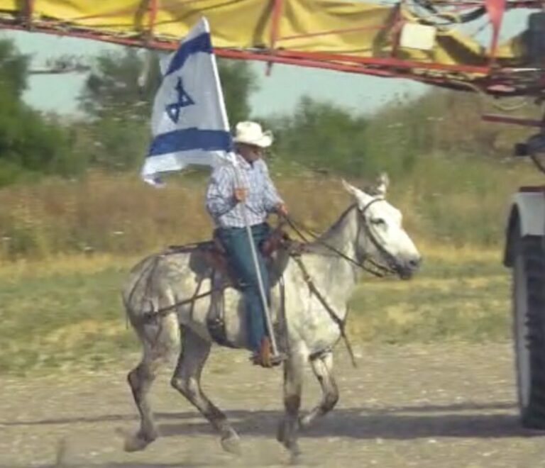 uri-shavout-festival-mules