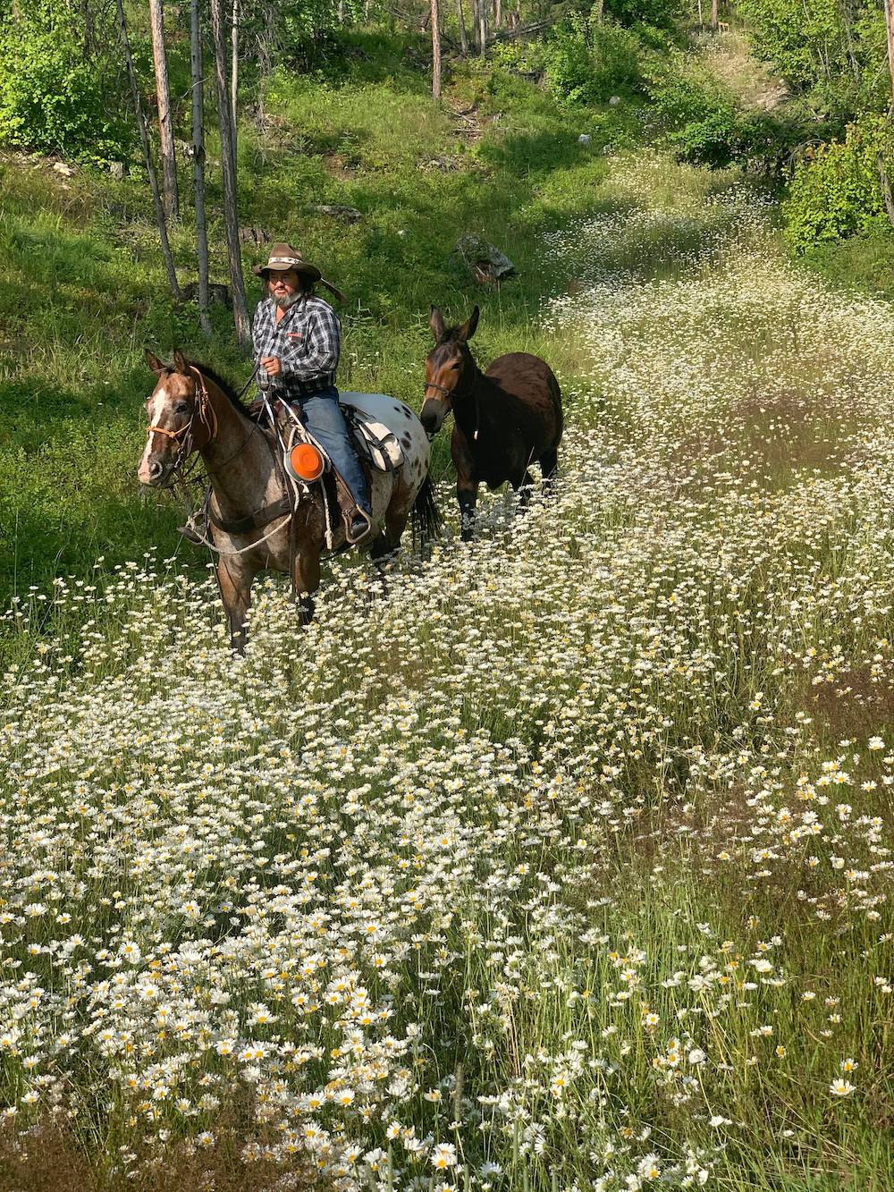 brynnuh mule